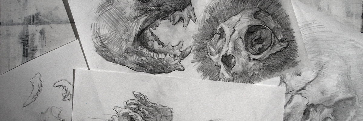 Morgklogg's profile banner image