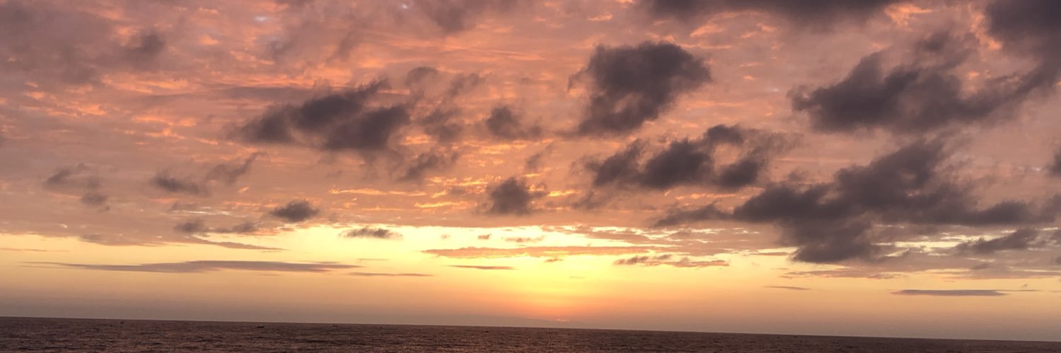 lmgallinger's profile banner image