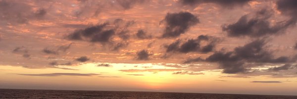 lmgallinger Profile Banner