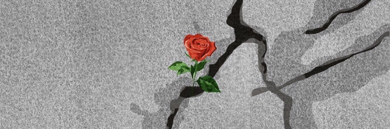 Jénelle Джодае banner