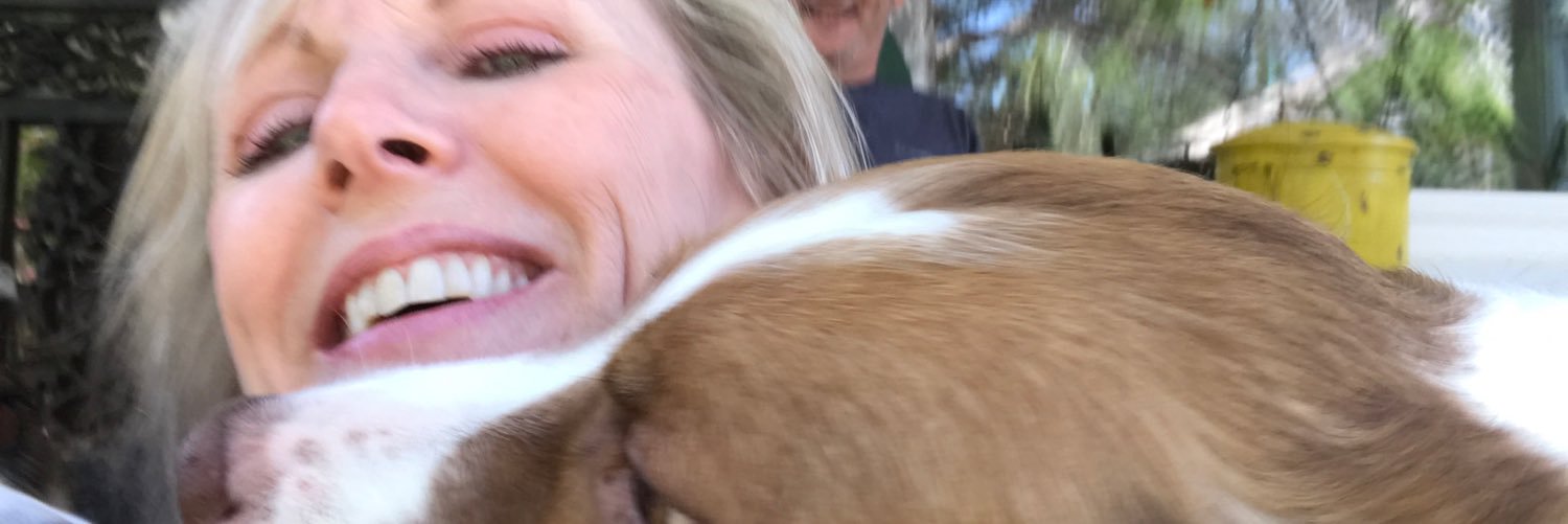 BMbstott's profile banner image
