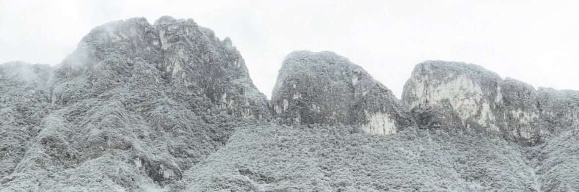 NicoleSavinonL's profile banner image