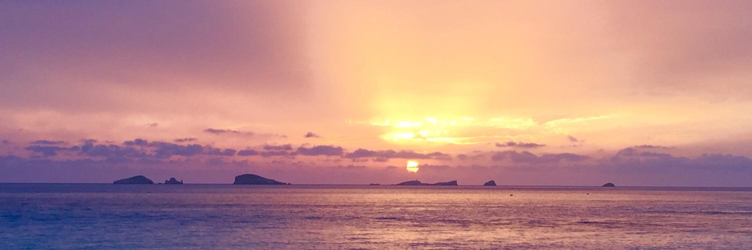 gogingermo's profile banner image