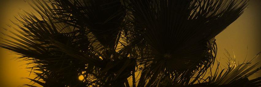 sunstatemodtour's profile banner image
