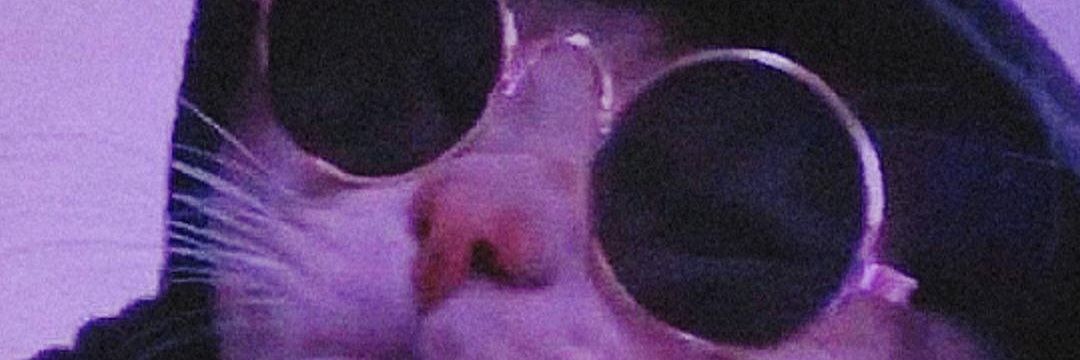 ftsystem_'s profile banner image