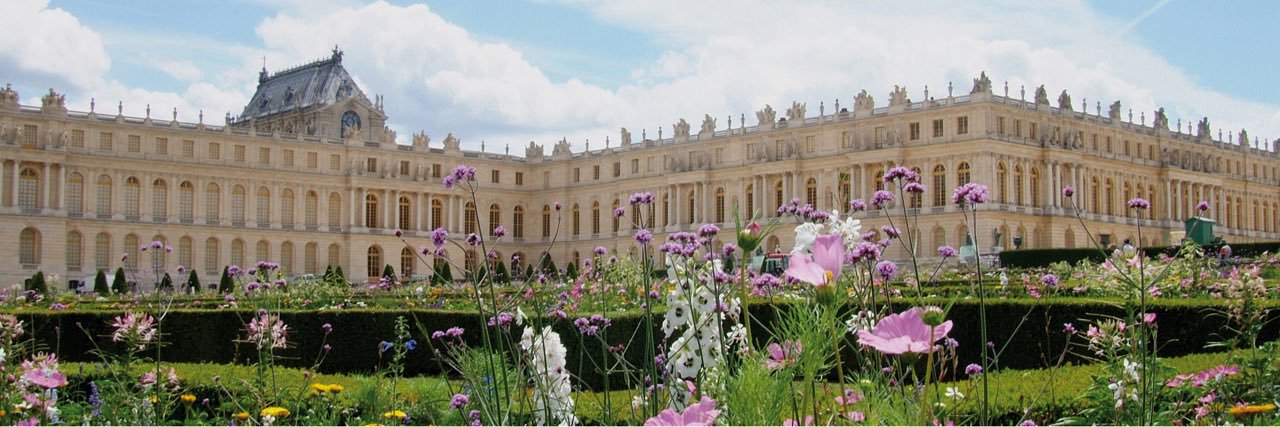 Straight Lines banner