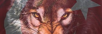 SMFatih's profile banner image