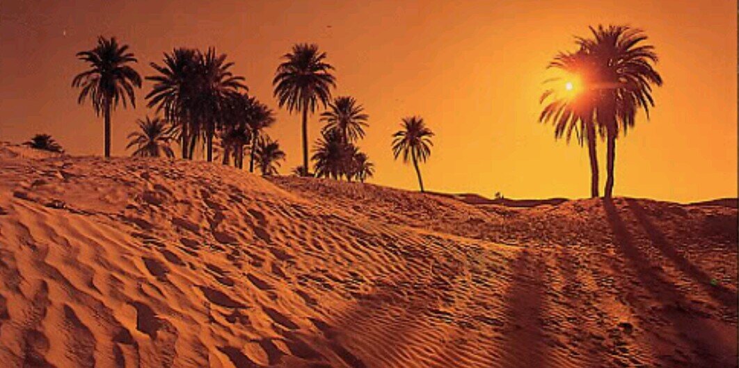 araibms's profile banner image