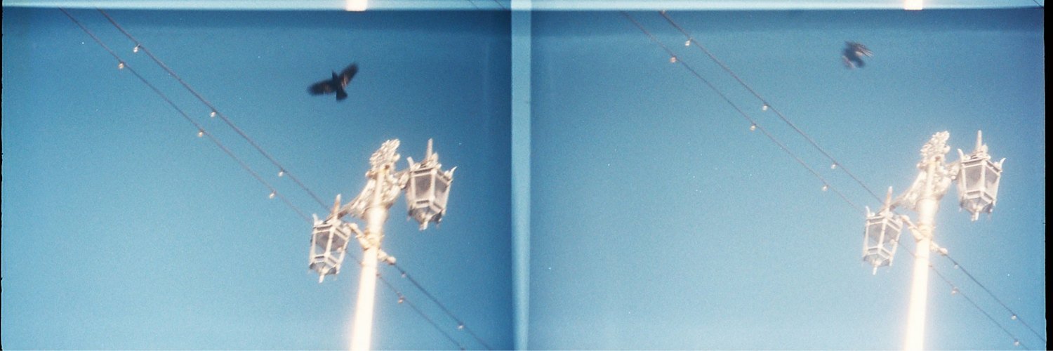 LyssaRuther's profile banner image
