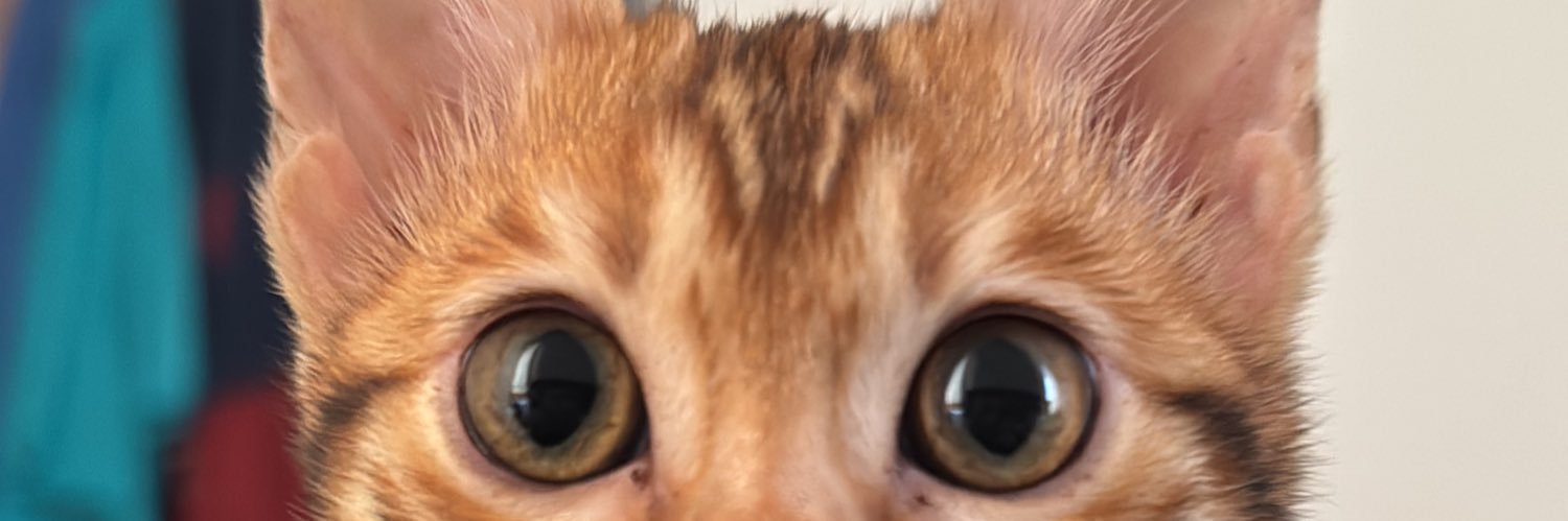 yashydu's profile banner image