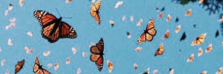 karinacalderone's profile banner image