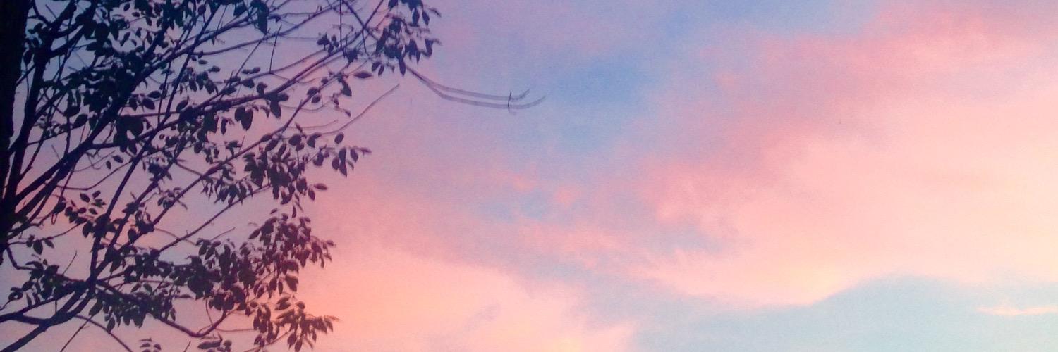 EmilyVillari's profile banner image
