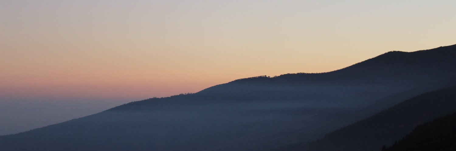 beadeprada's profile banner image