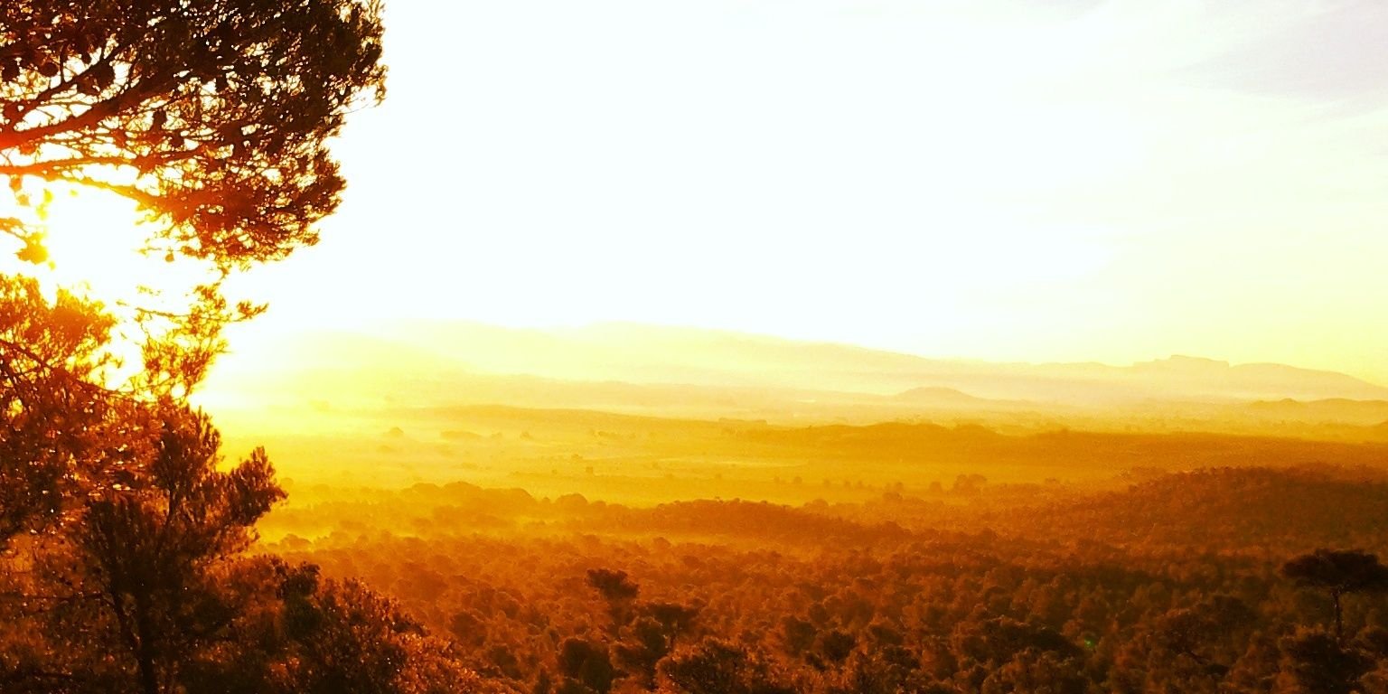 Vixentkd's profile banner image