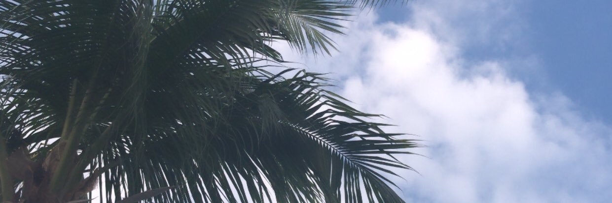 Wimnie99's profile banner image