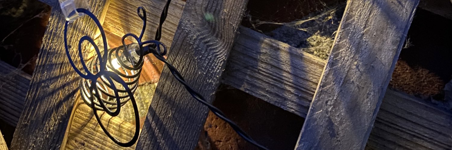 mummystarfish's profile banner image