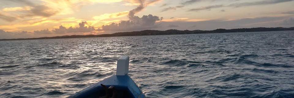 ACesarjr1's profile banner image