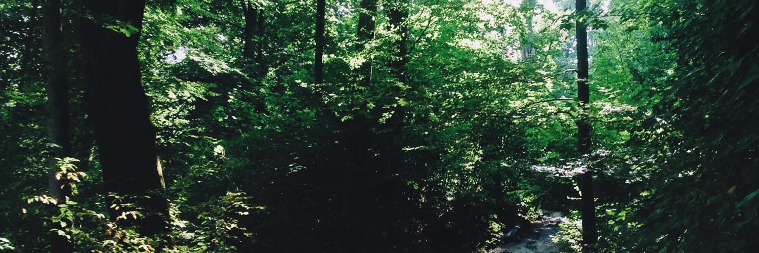 twitdocarlos's profile banner image