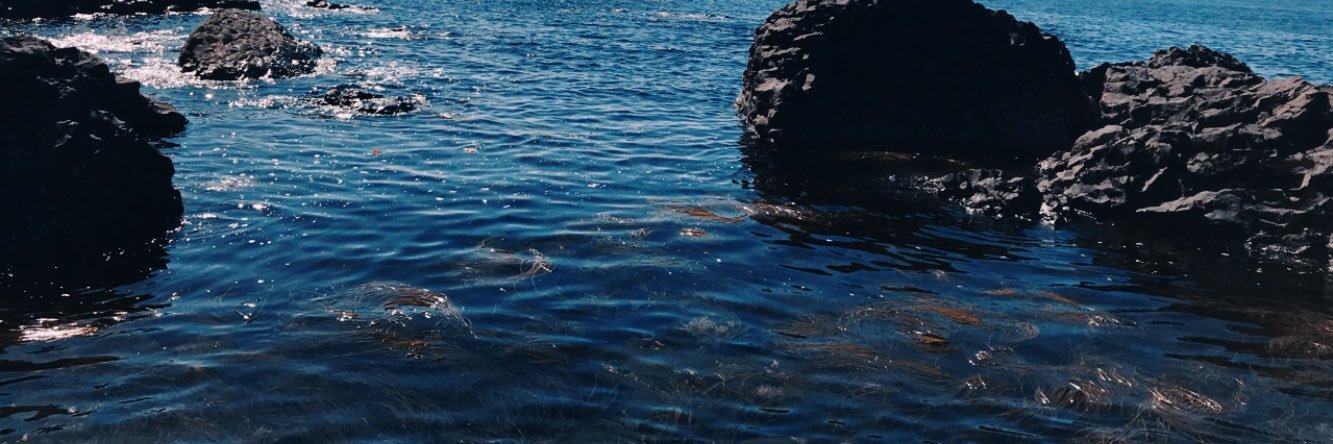 lillyjane_'s profile banner image