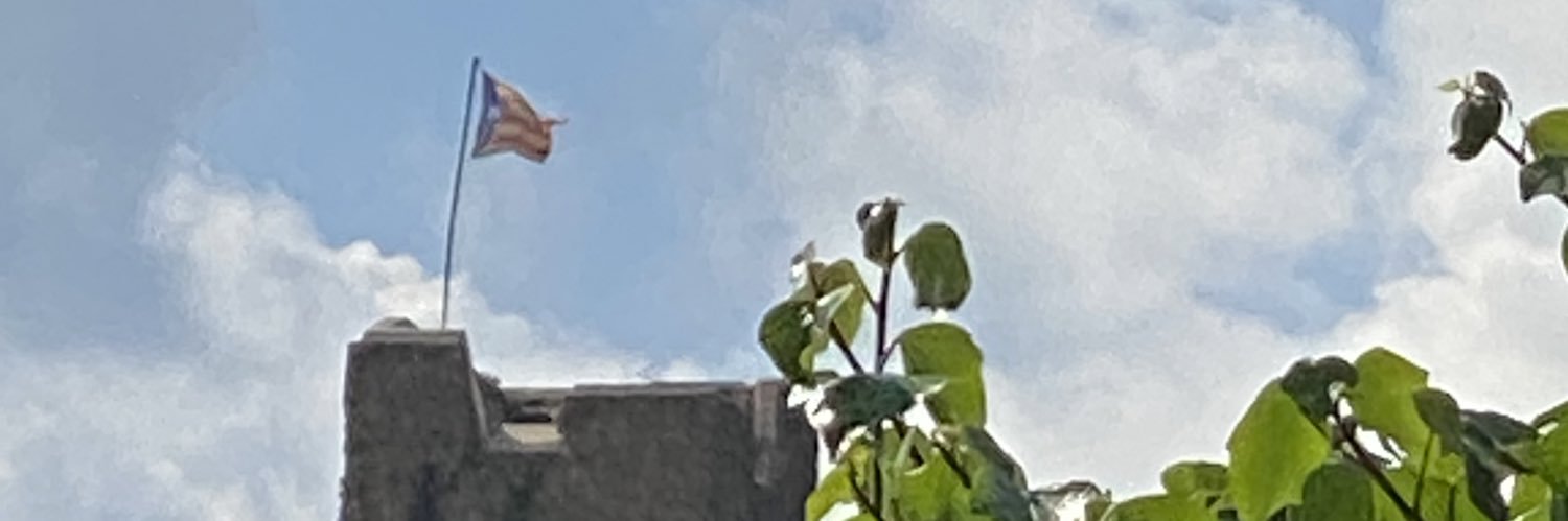 enriccall's profile banner image