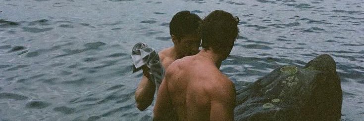 “rainbow raccoon” banner