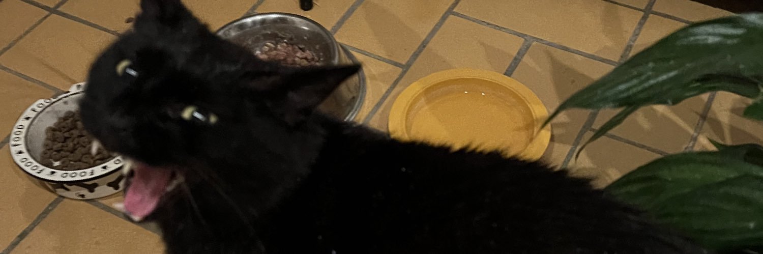 Tue_ banner