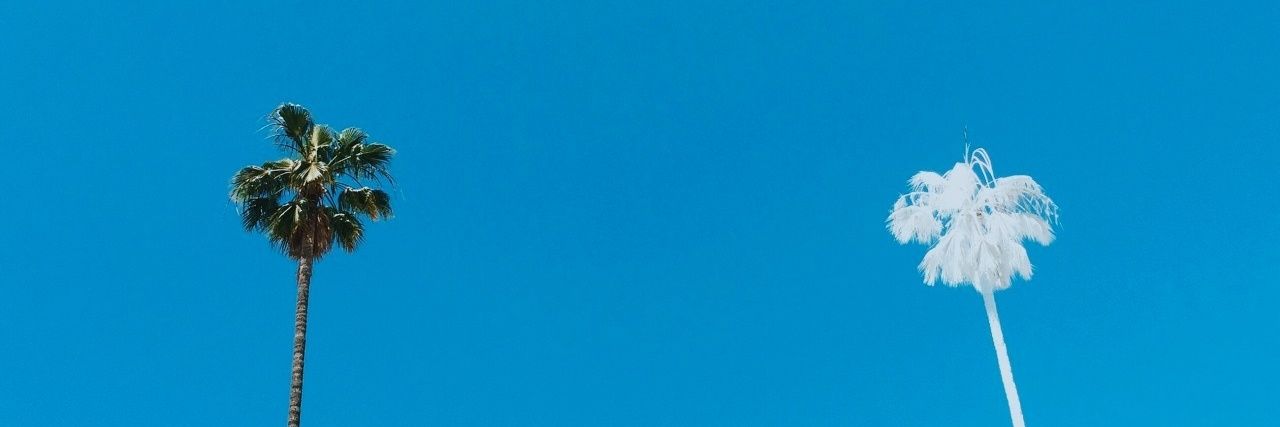 HablaCiaval's profile banner image