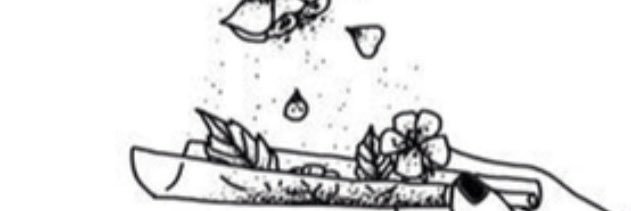 MeganMjw's profile banner image