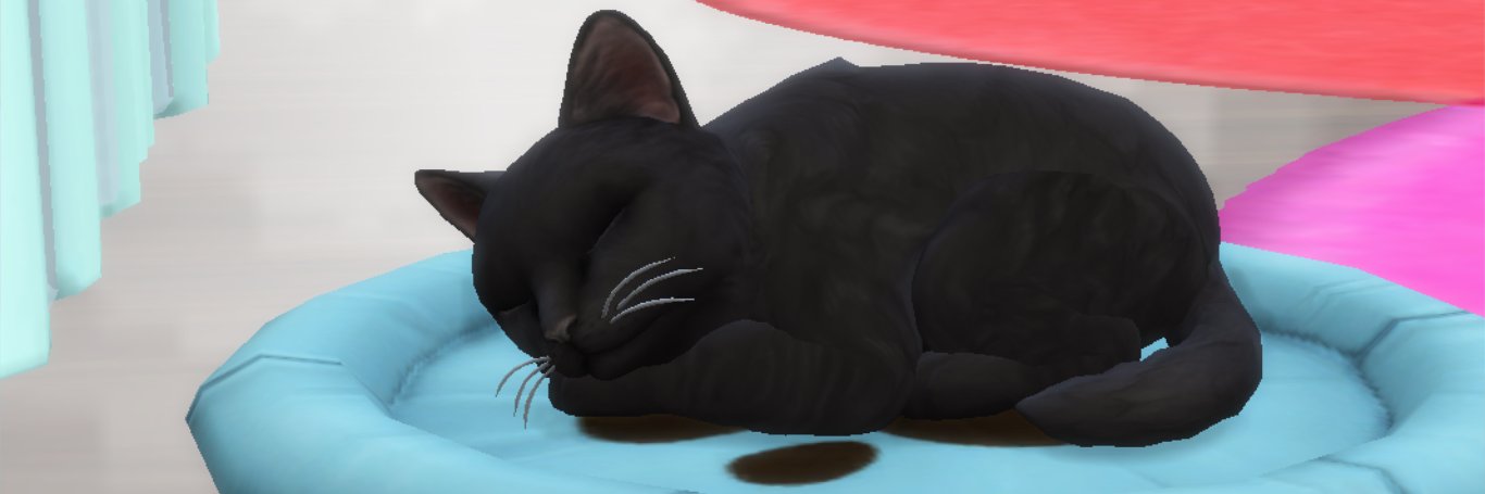 MagicSimmerP_93's profile banner image