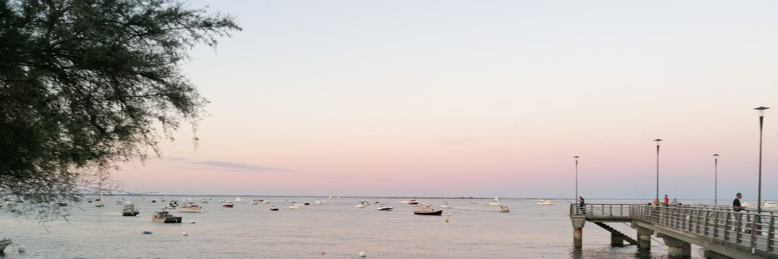 Naubaudit's profile banner image
