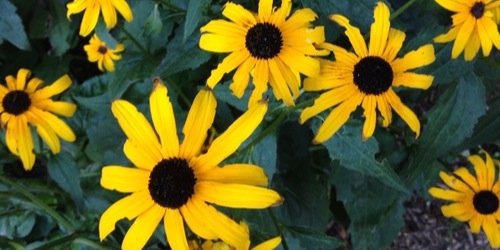 _FLOORRR's profile banner image