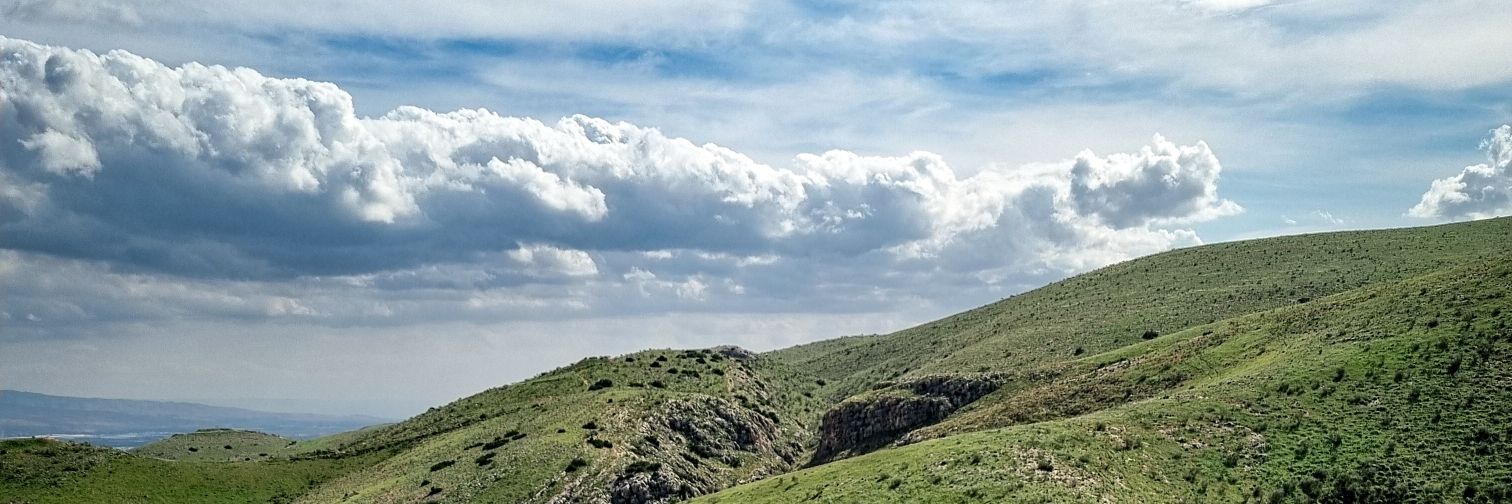 assafm02's profile banner image