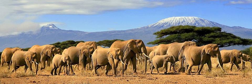 AfricaGuide_com's profile banner image
