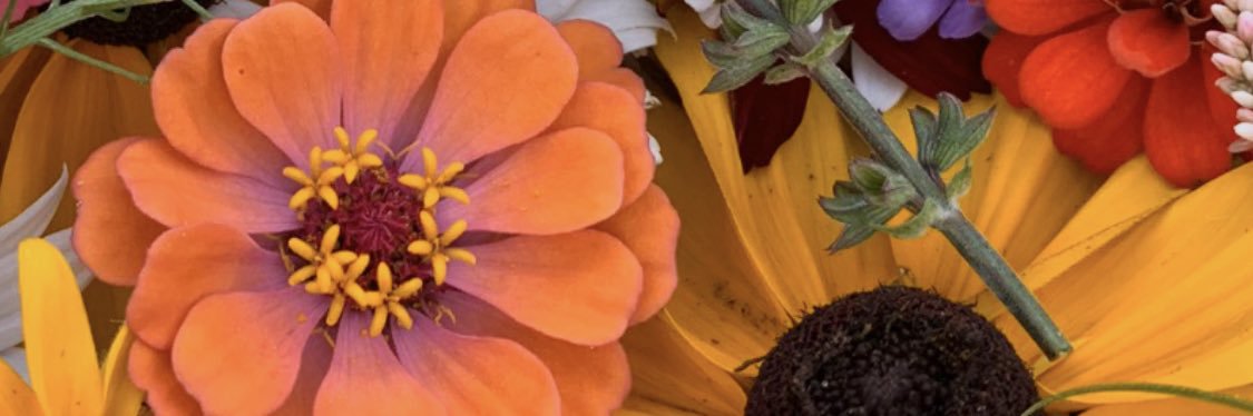 pitayajuicee's profile banner image