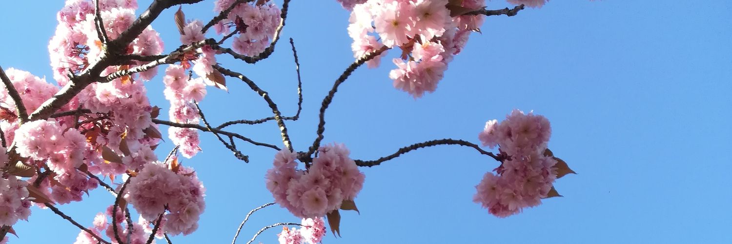 WhatTheeEll's profile banner image
