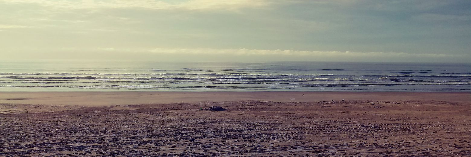 claudifelis's profile banner image