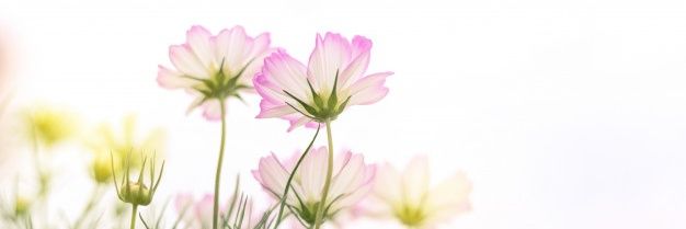 Valery_Kam's profile banner image