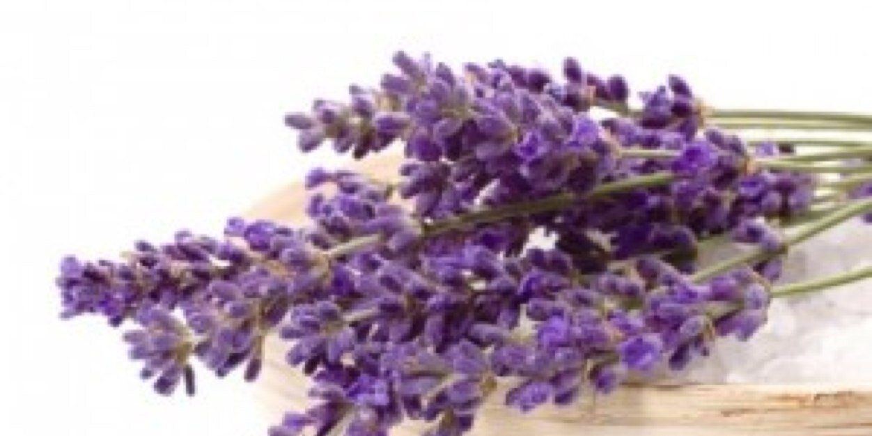 🇸🇦 جنوبية 🇸🇦 banner