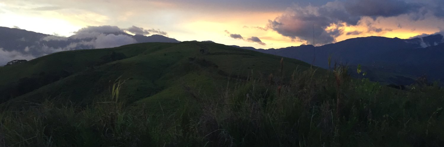 iamgranthall's profile banner image