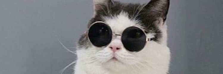 chrisd15_'s profile banner image