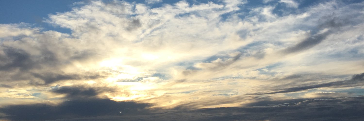 4431Hope's profile banner image