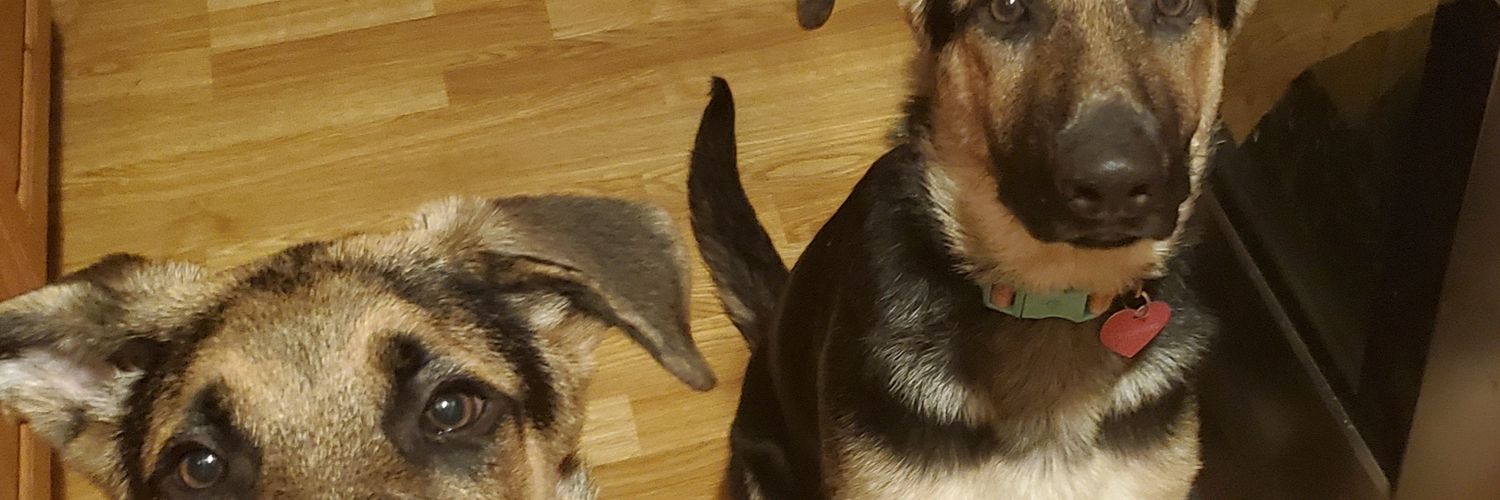MildlyNostalgic's profile banner image