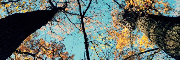 Indiyam Profile Banner