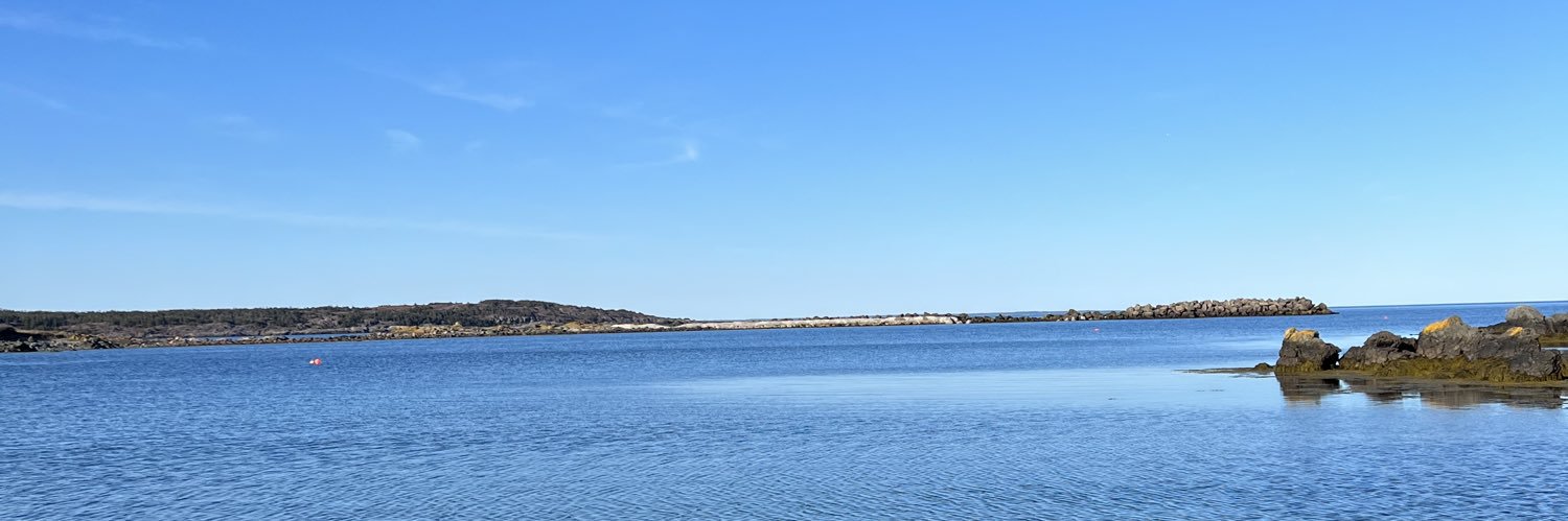 brookebagley0's profile banner image