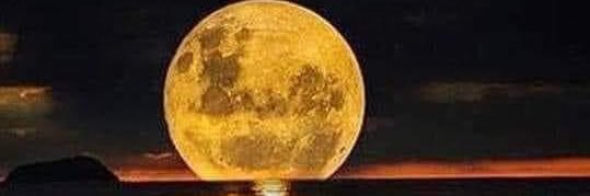 jason whisman banner