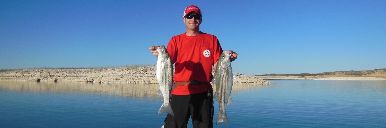 Mike Micallef banner