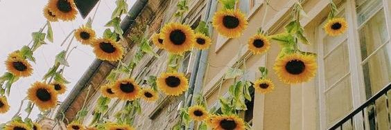 cabaldi1's profile banner image