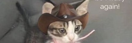 StolarskiChris's profile banner image