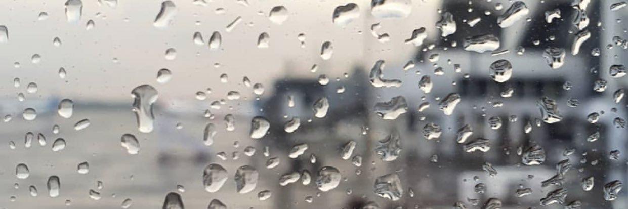 aprildinera's profile banner image