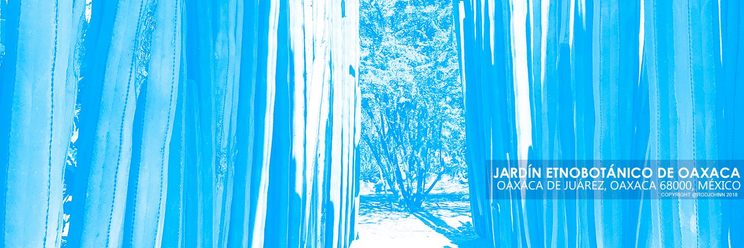 rodjohnn's profile banner image